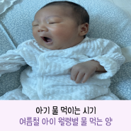 아기 물 먹이는 시기_여름철 아이 월령별 물 먹는 양