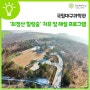 대구 소식! '최정산 힐링숲' 치유 및 해설 프로그램 안내🌲