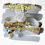 파주 헤이리마을 강아지 동반 소품샵, 썸띵플레이 내돈내산 후기