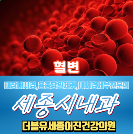세종시내과 추천 세종시내시경. 혈변원인, 피똥 싸는 이유와 치료...더블유세종어진건강의원 : 네이버 블로그