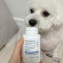 6살 비숑강아지 슬개골건강을 위한 강아지관절영양제 한국바이오펫 조인트케어