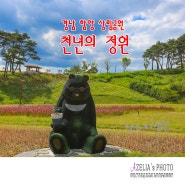 경남 함양 ❛천년의 정원❜상림공원 【24년5월28일】