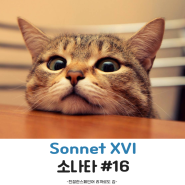 스페인어로 시 읽기 Sonnet XVI_16(소네트 16)_Pablo neruda_빠블로 네루다