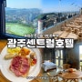 광주센트럴호텔 레지던스 패밀리트리플1박 후기 (+조식) 광주호캉스 호텔 추천!