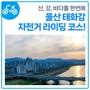 [탠주 Pick!] 울산 태화강 자전거 라이딩 코스!