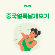 중국얼룩날개모기 ZERO! 말라리아 매개 모기 특징, 방제 방법