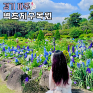 서울근교 갈만한곳 파주 벽초지수목원 봄꽃축제 할인 주차