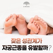 잦은 성관계가 자궁근종을 유발할까?