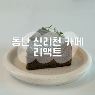 동탄 리액트, 반려견 유아 동반 가능 카페 신리천 케이크 맛집