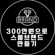 300만원으로 내 스몰브랜드 만드는 과정