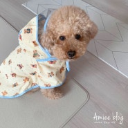 강아지 비옷 레인코트 너무 귀여운 동구옷방 곰돌이 우비 망토 추천해요!