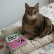 고양이 행동 소리 꼬리 언어 나도 고양이 말할 수 있어 고양이 책