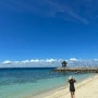 필리핀 세부 여행 - 샹그릴라 데이유즈로 수영장 바닷가 스노쿨링 이용하기 예약방법