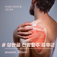 당신의 말린 어깨는 라운드 숄더가 아닐 수 있다(상완골 전방 활주 증후군)