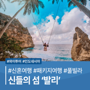 발리신혼여행 가볼만한 곳 & 음식 총정리