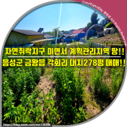 (금왕읍토지매매)자연취락지구 이면서 계획관리지역 땅!! 충북 음성군 금왕읍 각회리 대지 278평 매매!!