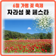 6월여행 북한강과 만남이 환상적인 가평 자라섬 꽃 페스타