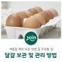 여름철 계란 보관, 달걀 보관의 올바른 관리 방법 및 주의할 점