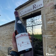[부르고뉴여행] 미셸 그로(Michel Gros) 와인 메이커 삐에르와 만남과 끌로 데 레아 (Clos des Reas) 현지 구입 후기 (+ 부조역에서 기차타고 디종으로 복귀)