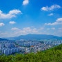 전주 완산칠봉(全州 完山七峰)의 푸른 유월 - 2024. 06. 04(火).