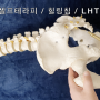 장강(독맥) - 정력, 치질, 생식기 관련 질병 치료 혈자리 Acupuncture Points 힐링침/ 균형요법 / 내손은약손 / LHT자기펜