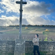 [부르고뉴여행] 와인의 성지 로마네꽁띠 밭, 그리고 와이너리 구경 (113번 버스타고 본에서 본로마네 가는법)