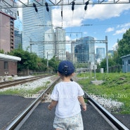 서울 아기랑 갈만한 곳 : 기차 철길 구경 가능! 서소문역사공원 주차팁