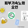 피부 기능에 영향을 주는 요인들 (피부 가속노화 요인)