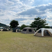 대구 노지 캠핑 캠프닉 금호강 산격야영장 시설 이용후기