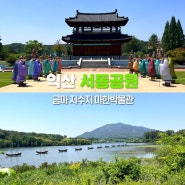 전북 익산 가볼만한곳 서동공원 마한박물관 금마저수지 추천 ft.7월 8월 연꽃
