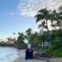 [하와이] 하와이 5월 신혼여행 Day8-9 (오하우, 카할라리조트, 보가트카페, 알라모아나 센터, 하와이 명품쇼핑, 파타고니아, 파타로하, 카할라몰, 플루메리아 조식 등)