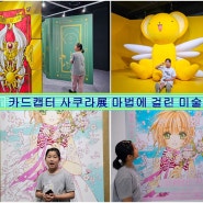 홍대 가볼만한곳 서울전시 추천 카드캡터사쿠라展 마법에 걸린 미술관