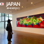 일본 다카마쓰 자유여행 예술의 섬 나오시마 밸리 갤러리, 베네세 하우스 뮤지엄