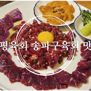 송파구육회 맛집, 신선하고 질 좋은 생고기를 맛볼 수 있는 함평육회