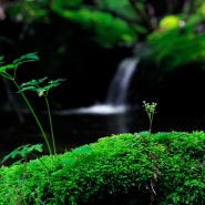 여름 산행에 제격인 복주산 계곡