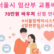 서울시 임산부 교통비 지원 신청방법, 후기