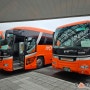 [시코쿠 혼자 여행] 마쓰야마 공항에서 오카이도 시내가기 & 제주항공 무료 셔틀버스 및 관광 쿠폰북 정보