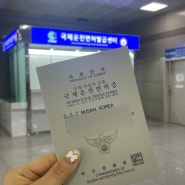 국제운전면허증 발급방법 김해공항 국제운전면허발급센터 위치 준비물 정보