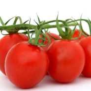 방울토마토 VS 토마토 전립선 및 건강한 다이어트 성분 효능 고르는법 보관법 알아보기