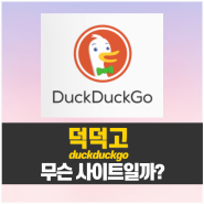 개인정보 보호를 위한 검색엔진 | Duckduckgo 덕덕고 알아보기