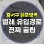 강서구 해충방역 벌레 유입경로 차단 진짜 꿀팁