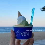 속초 디저트 녹쟌니 속초해변 앞 젤라또 아이스크림
