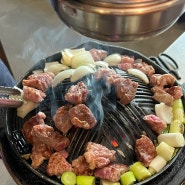 [맛집] 천안 불당동 ‘다루마’ | 불당동 양고기 양갈비 맛집 *･*:.•