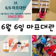 6월 6일 마프대란 세일 기회 꼭 잡자