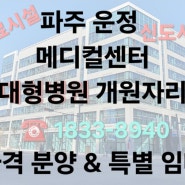 <대형병원 개원자리>파주 운정 서래메디컬 의료시설 500평 600평 800평 최신 현황