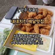 양주 장흥 네네치킨 오리엔탈 파닭 후기 장흥유원지 주요 관광지 배달가능 치킨 맛집
