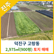 [전주토지매매] 덕진구 고랑동 2,975㎡(900평) 토지매매