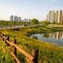 서울근교 시흥 여행 배곧 한울공원 생명의 땅 서해갯벌 체험장