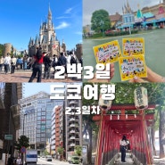 세모녀의 도쿄 2박3일 여행코스&경비 (2,3일차_디즈니랜드,신주쿠 맛집과 쇼핑)