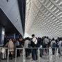 대만 타오위안 공항 e-gate부터 여행지원금 성공 팁까지